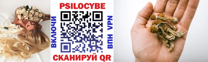 Галлюциногенные грибы мицелий  hydra ссылки  Жиздра 